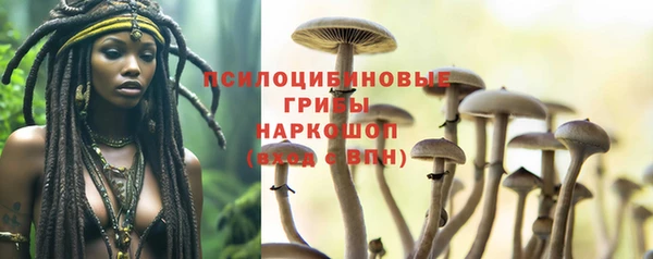 твердый Алексеевка