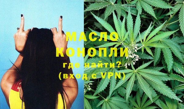 сатива Абинск