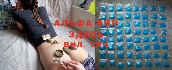 спайс Алзамай