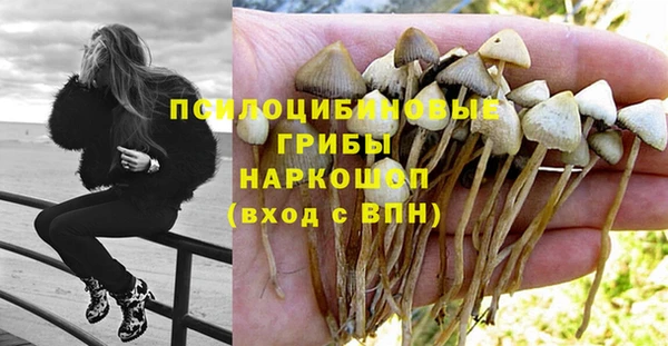 ПСИЛОЦИБИНОВЫЕ ГРИБЫ Алексин