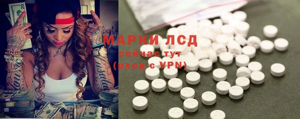 ПСИЛОЦИБИНОВЫЕ ГРИБЫ Алексин