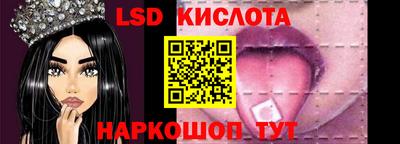стаф Гай