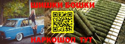 стаф Гай
