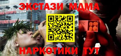 стаф Гай