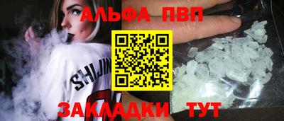 стаф Гай