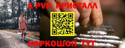стаф Гай