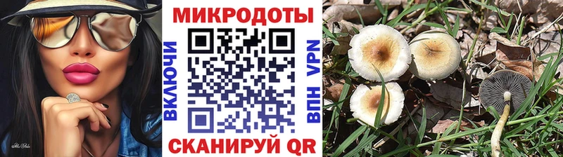 Псилоцибиновые грибы мицелий omg вход Сокол